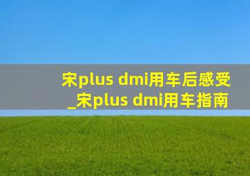 宋plus dmi用车后感受_宋plus dmi用车指南